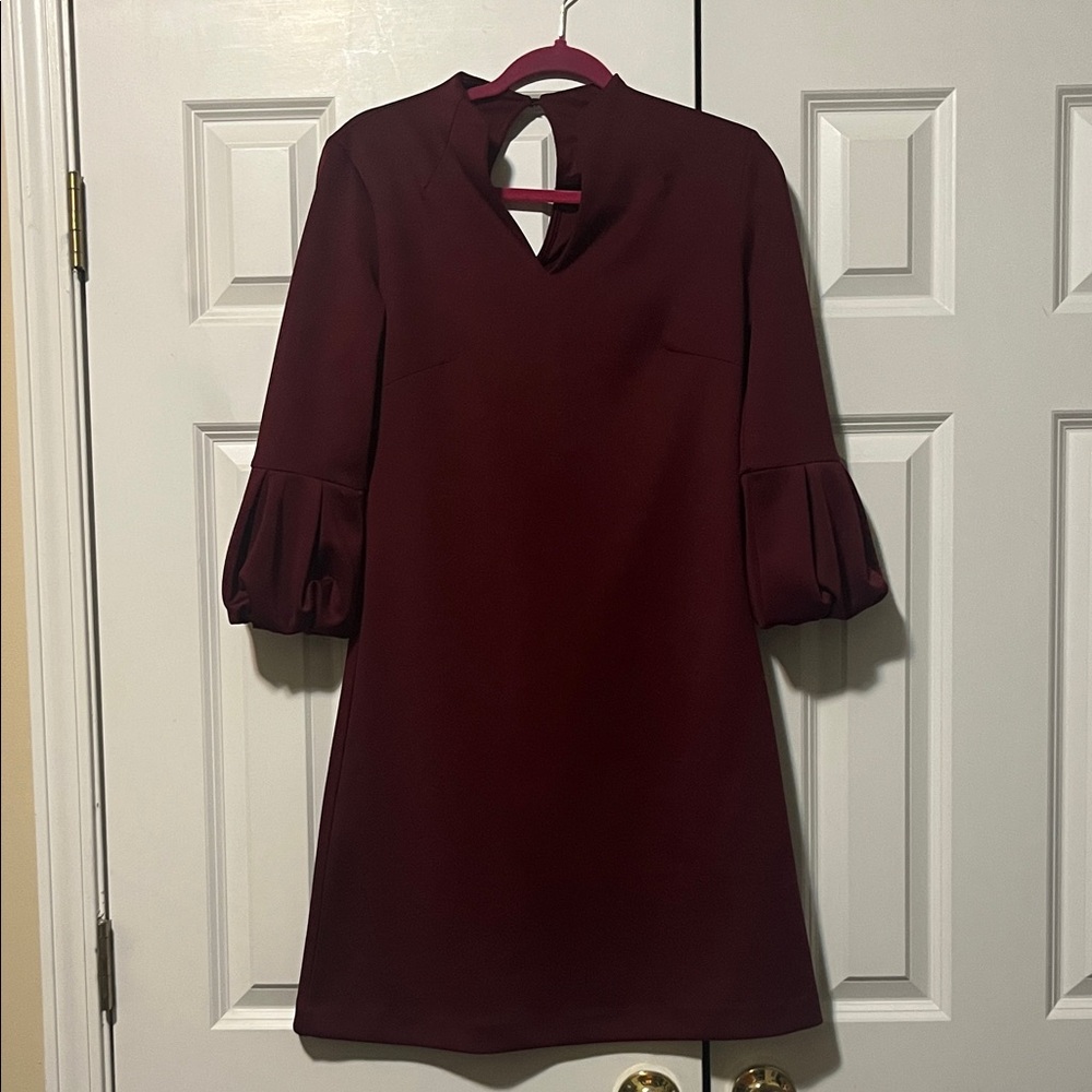 Elegant Burgundy Women's Dress